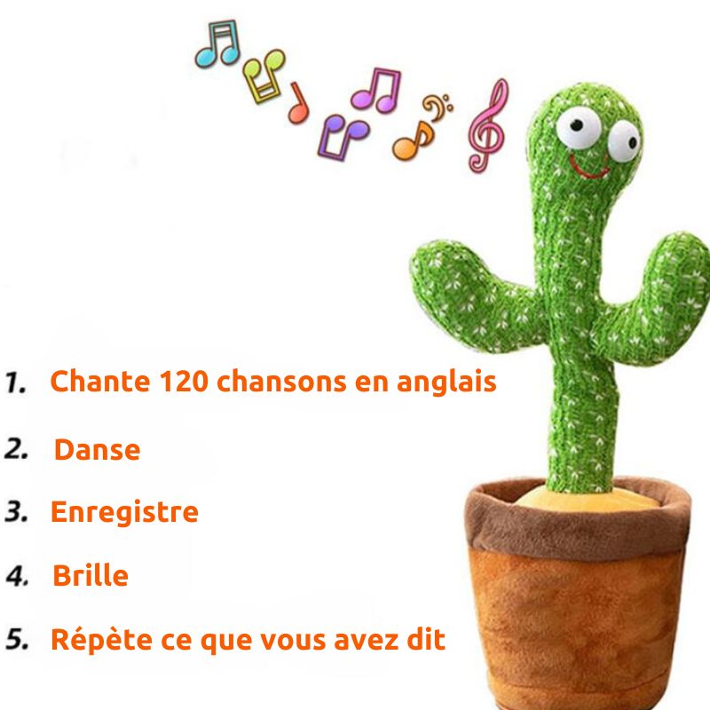 TuniCacti : Cactus Dansant (CJ)